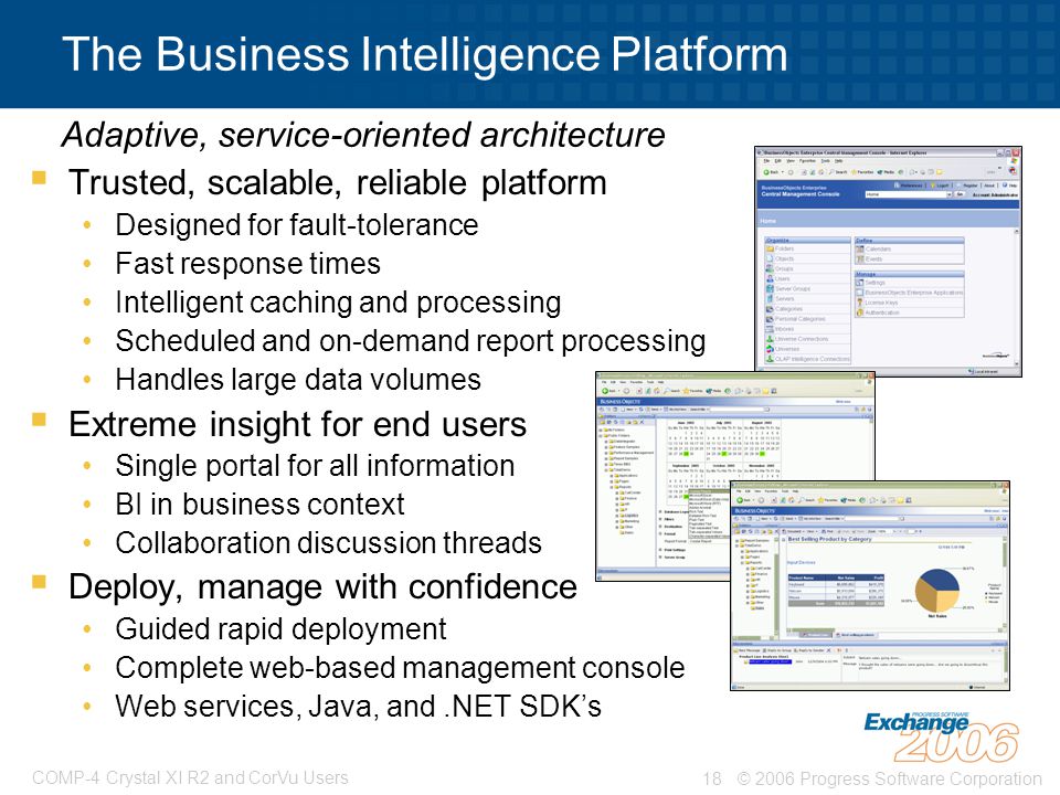 The Business Intelligence Platform