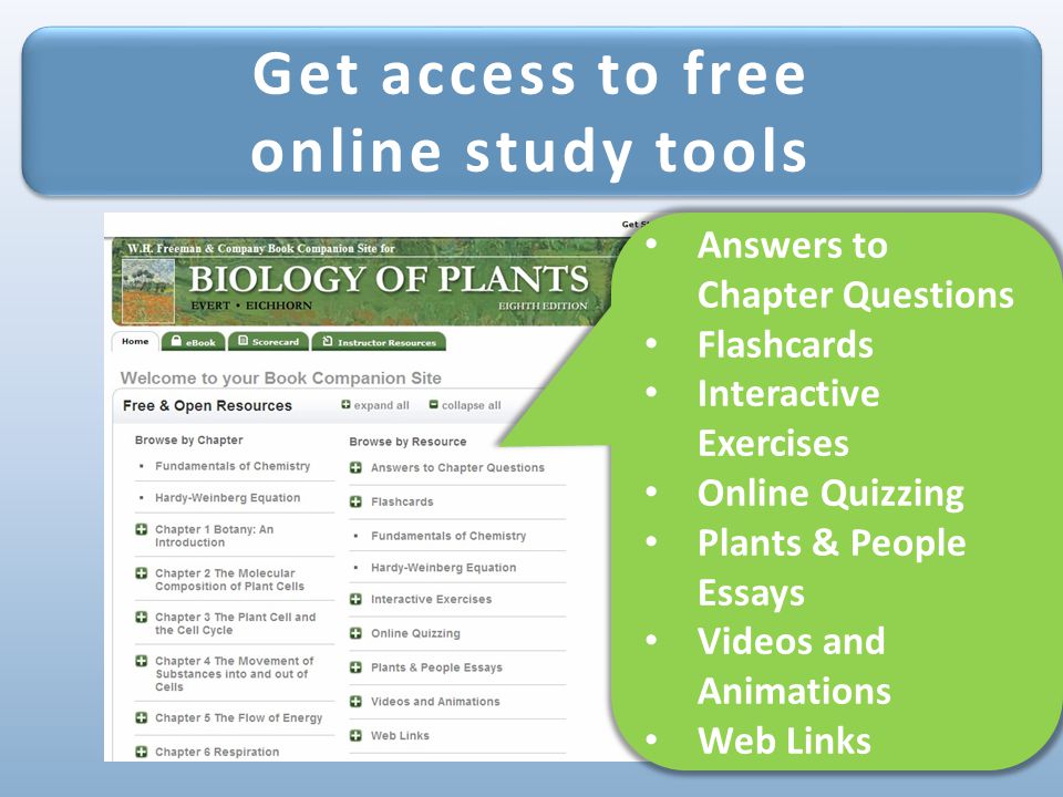 Get access to free online study tools