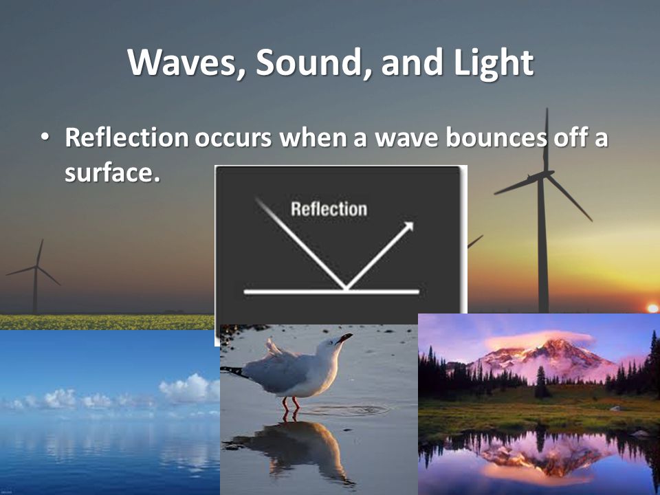 Waves, Sound, and Light Reflection occurs when a wave bounces off a surface.