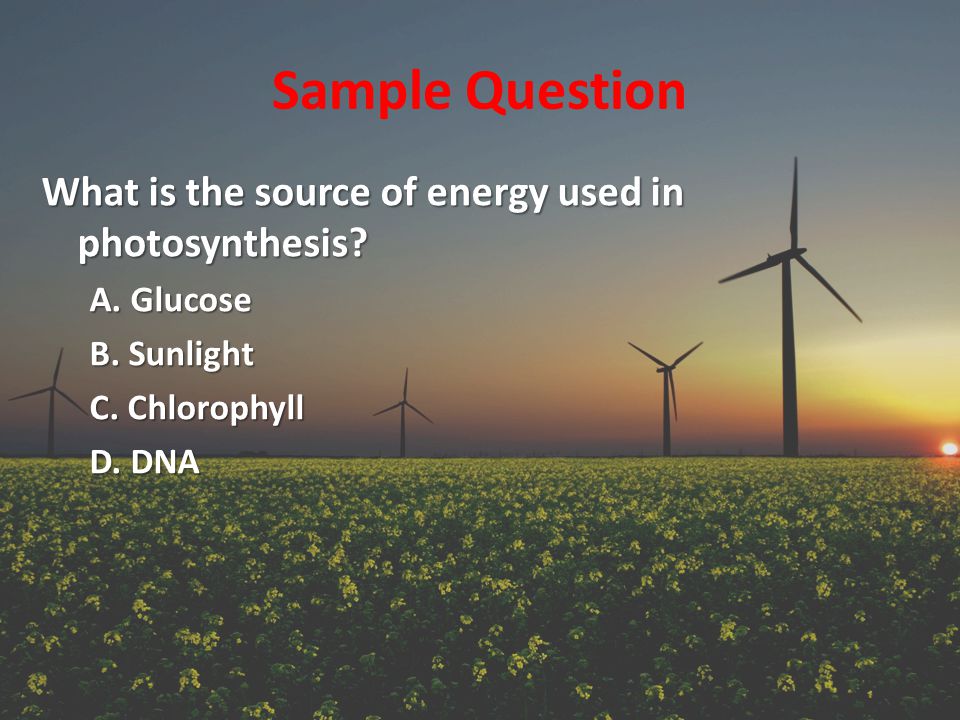 Sample Question What is the source of energy used in photosynthesis