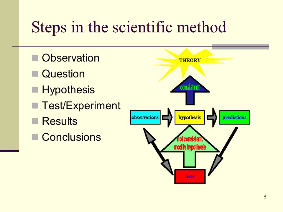 Steps in the scientific method