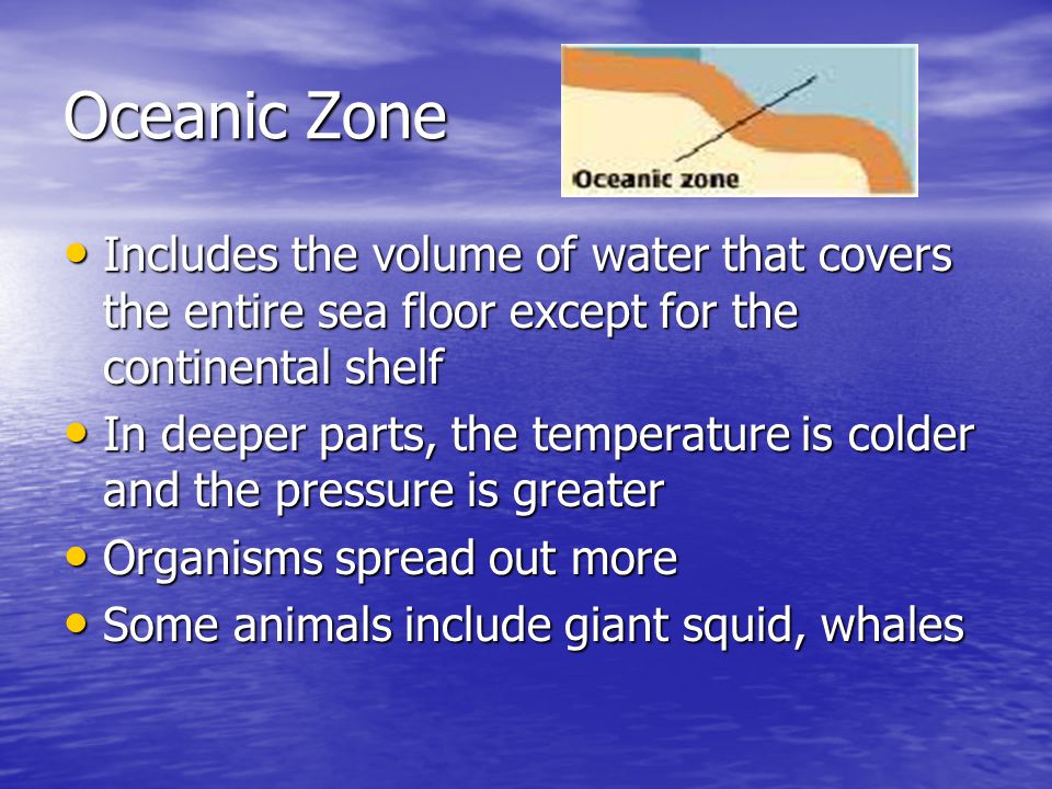 Oceanic Zone Includes the volume of water that covers the entire sea floor except for the continental shelf.