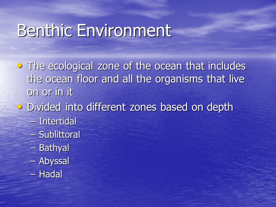 Benthic Environment The ecological zone of the ocean that includes the ocean floor and all the organisms that live on or in it.