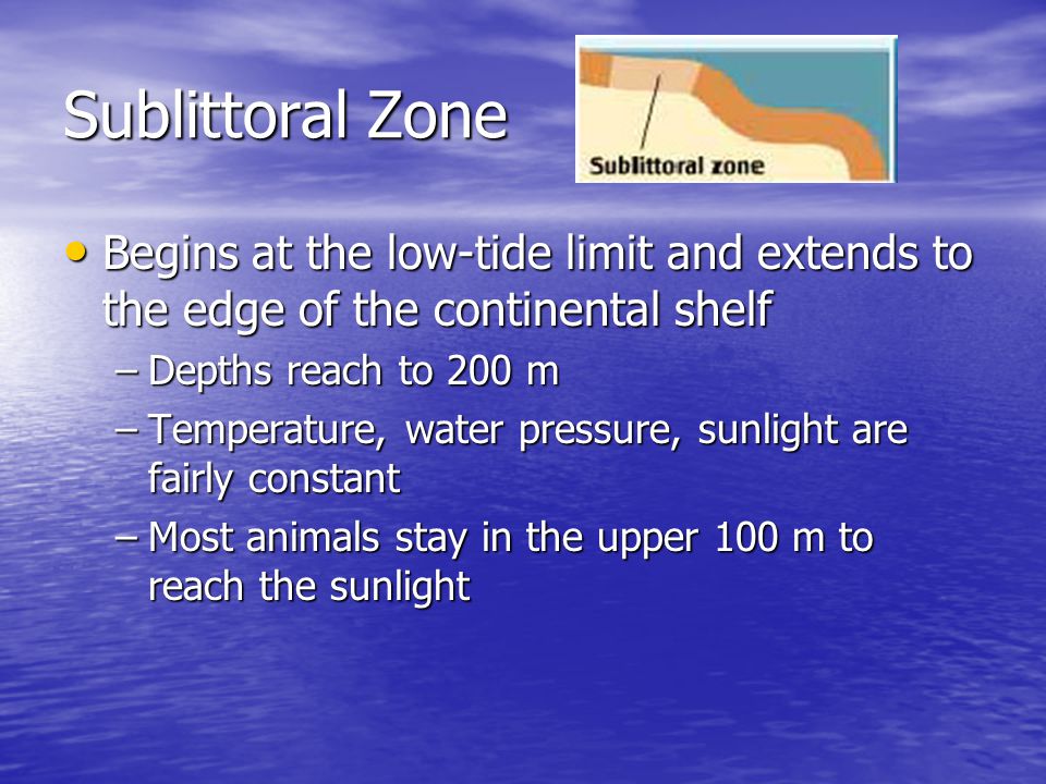 Sublittoral Zone Begins at the low-tide limit and extends to the edge of the continental shelf. Depths reach to 200 m.