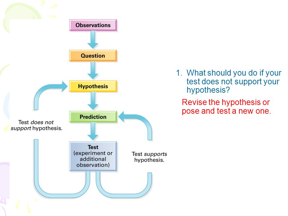 1. What should you do if your test does not support your hypothesis