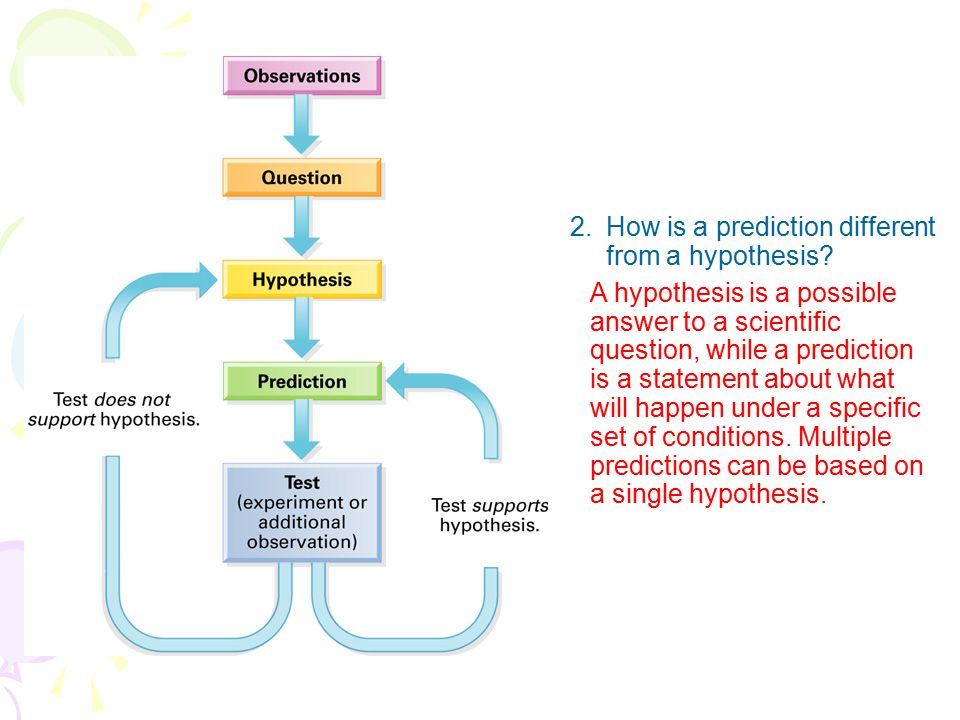 2. How is a prediction different from a hypothesis