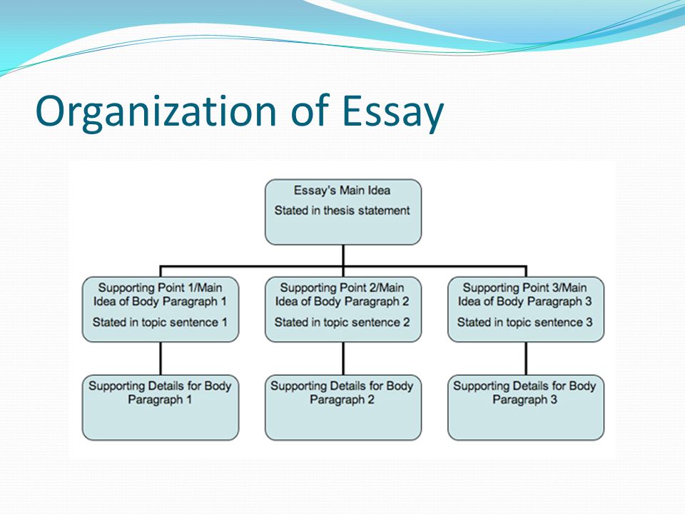 Organization of Essay
