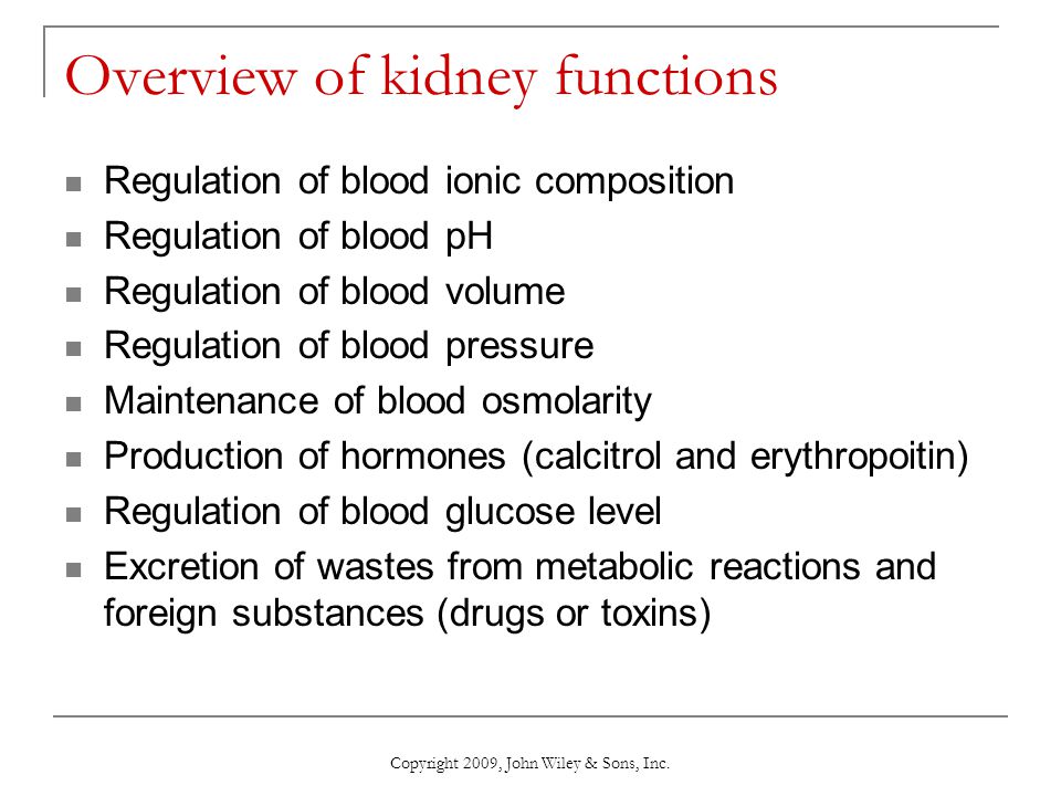 Overview of kidney functions