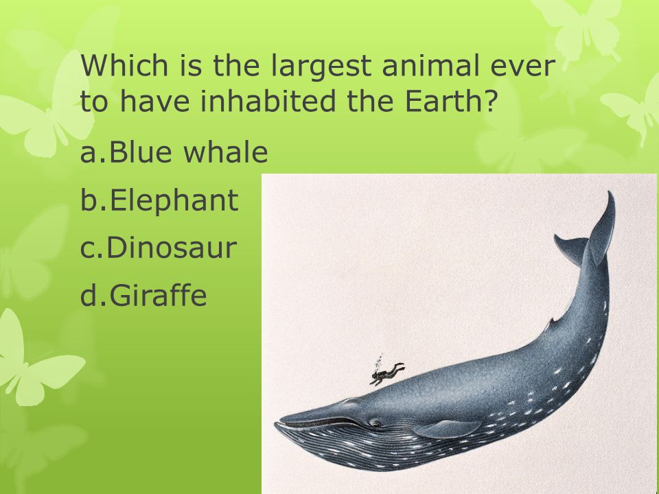 Trivia Questions For Environmental Science Class Ppt Download
