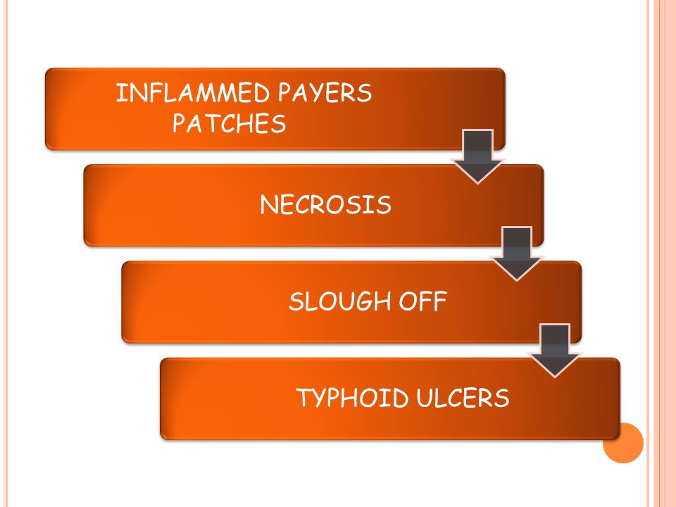 INFLAMMED PAYERS PATCHES