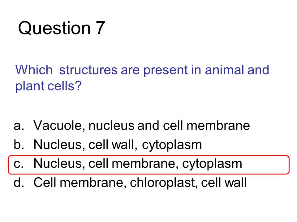 Cell Structure and Function Multiple Choice Quiz Questions and Answers -  ppt video online download