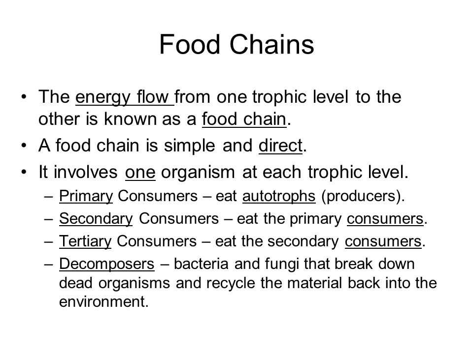 Food Chains The energy flow from one trophic level to the other is known as a food chain. A food chain is simple and direct.