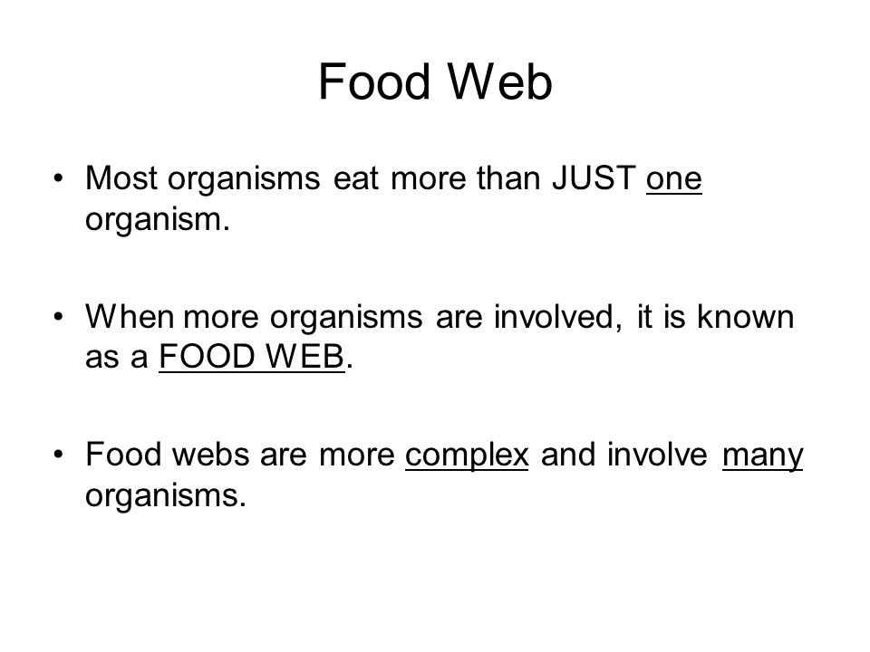 Food Web Most organisms eat more than JUST one organism.