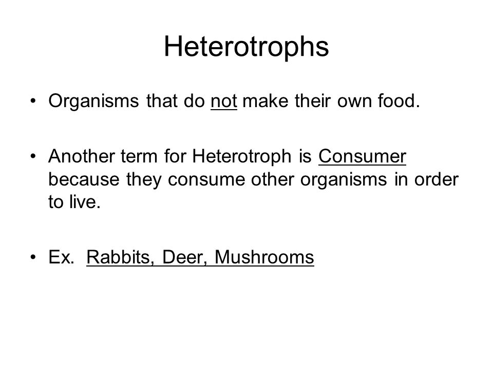 Heterotrophs Organisms that do not make their own food.