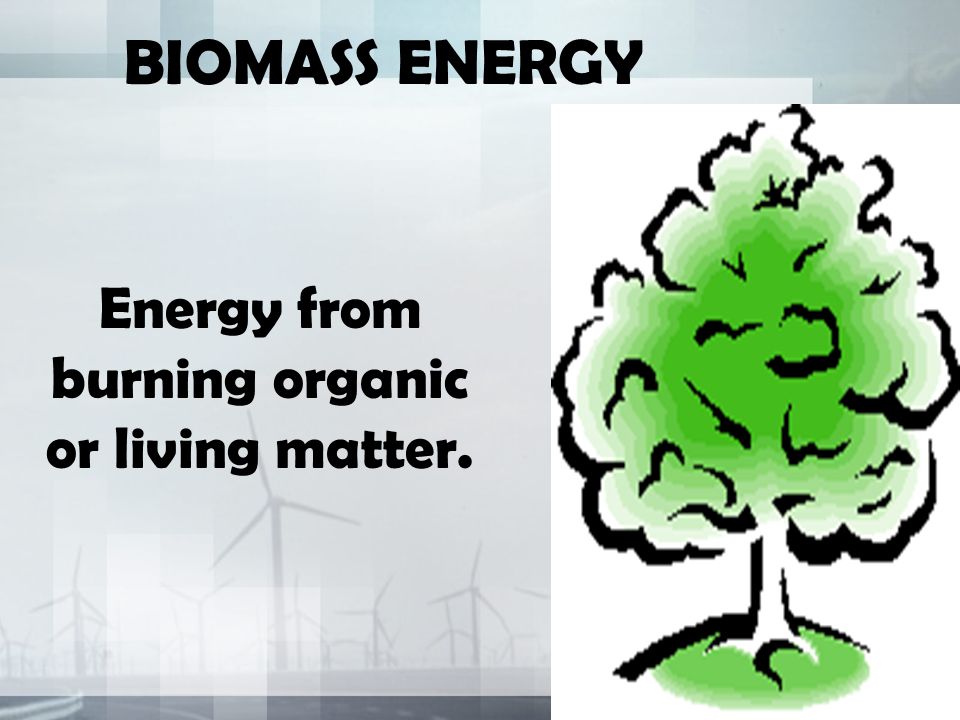 Energy from burning organic or living matter.