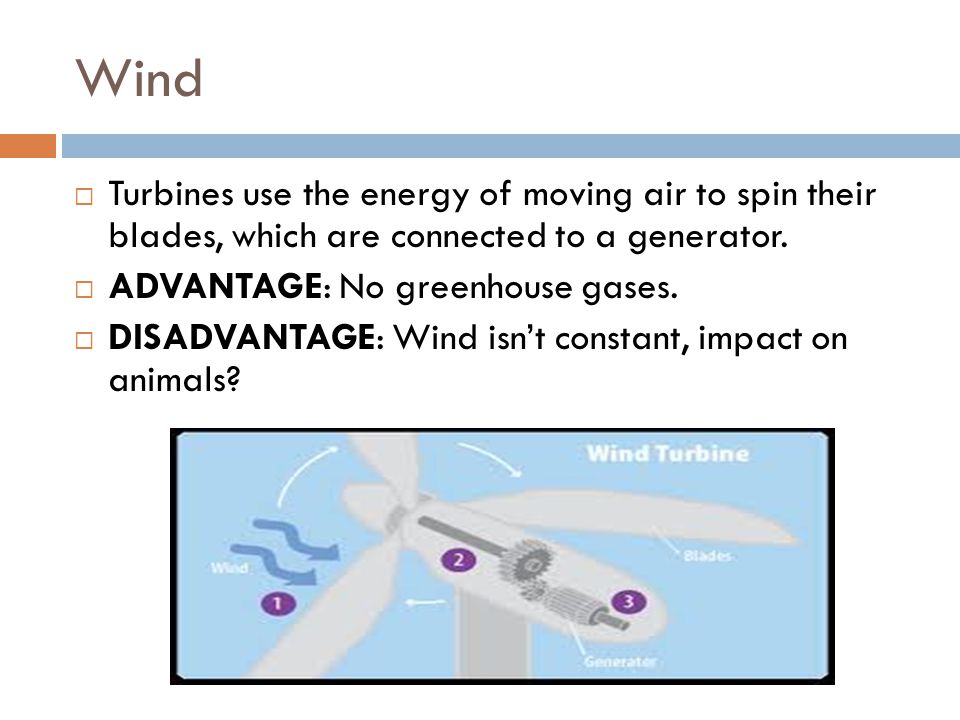 Wind Turbines use the energy of moving air to spin their blades, which are connected to a generator.
