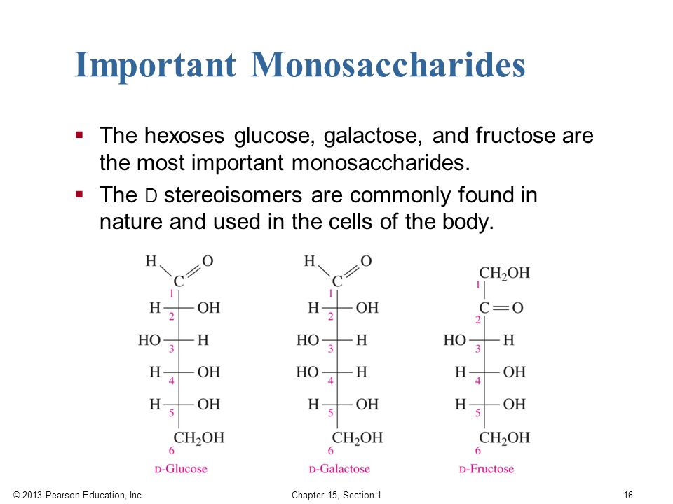 Important Monosaccharides