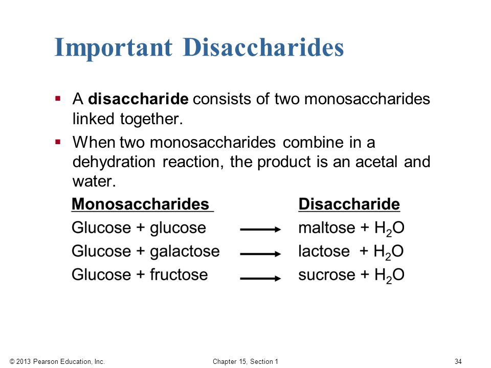 Important Disaccharides