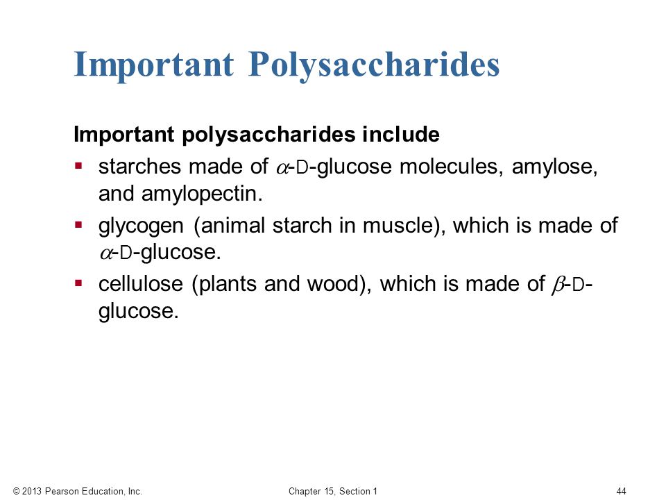 Important Polysaccharides