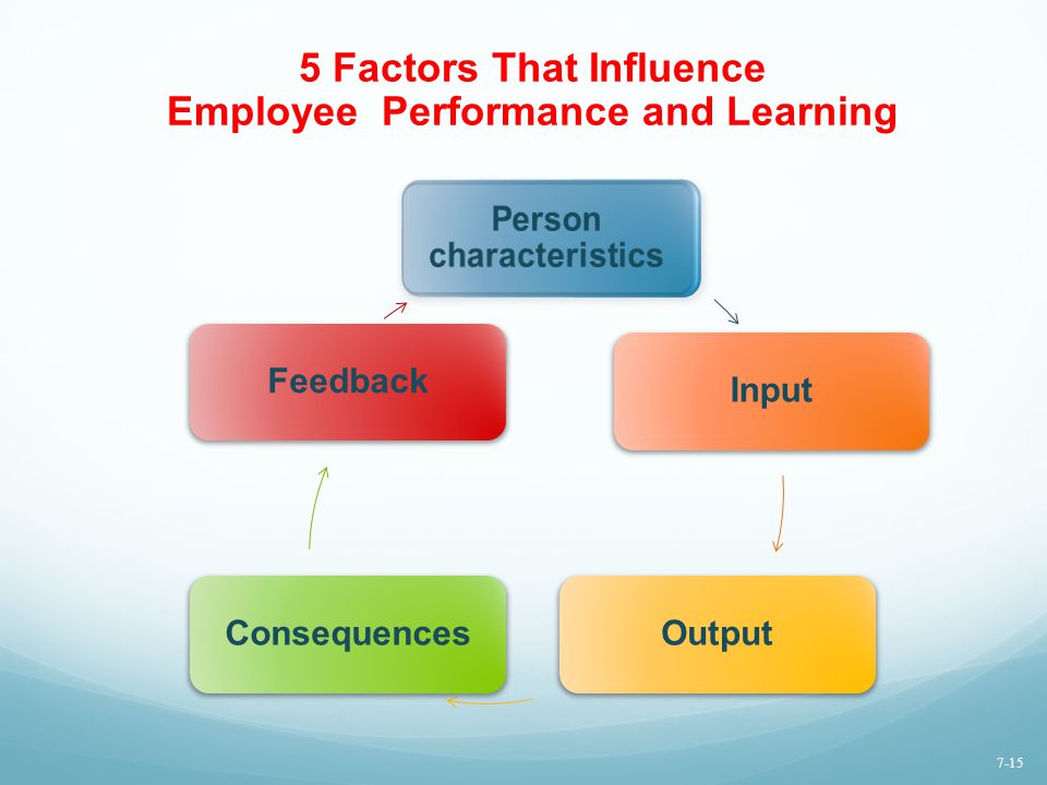 5 Factors That Influence Employee Performance and Learning