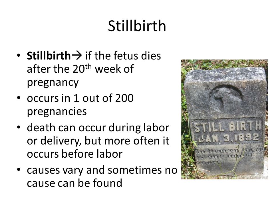 Stillbirth Stillbirth if the fetus dies after the 20th week of pregnancy. occurs in 1 out of 200 pregnancies.