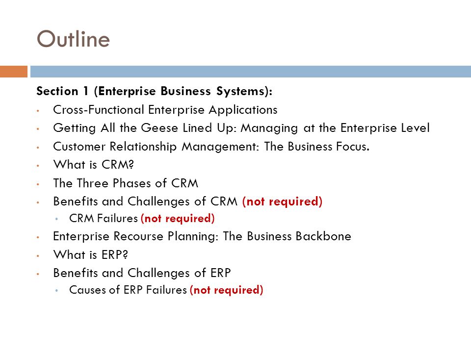 Outline Section 1 (Enterprise Business Systems):