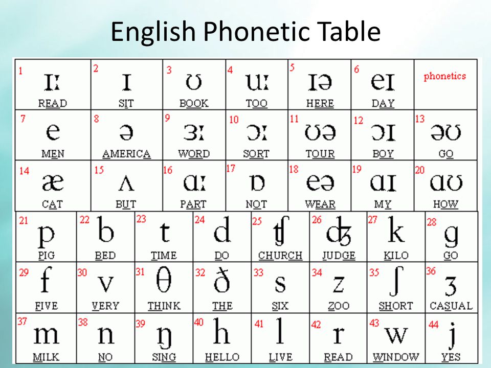 Presentation on theme: "Phonetics & Phonology."