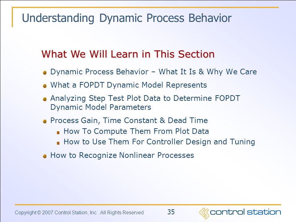 Understanding Dynamic Process Behavior