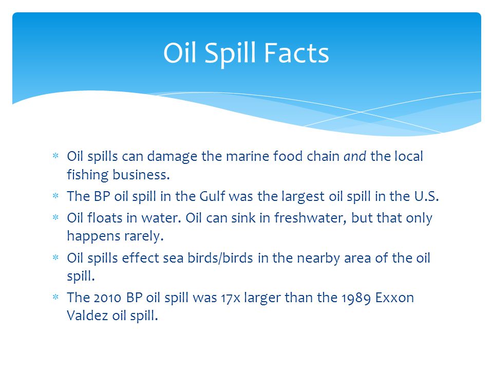 Oil Spill Facts Oil spills can damage the marine food chain and the local fishing business.