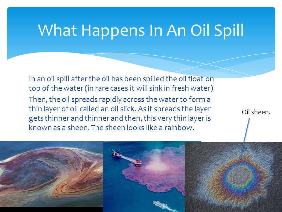 What Happens In An Oil Spill
