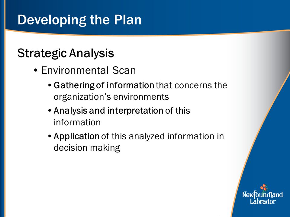 Developing the Plan Strategic Analysis Environmental Scan