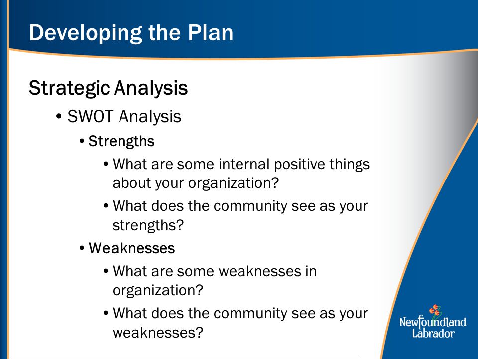 Developing the Plan Strategic Analysis SWOT Analysis Strengths