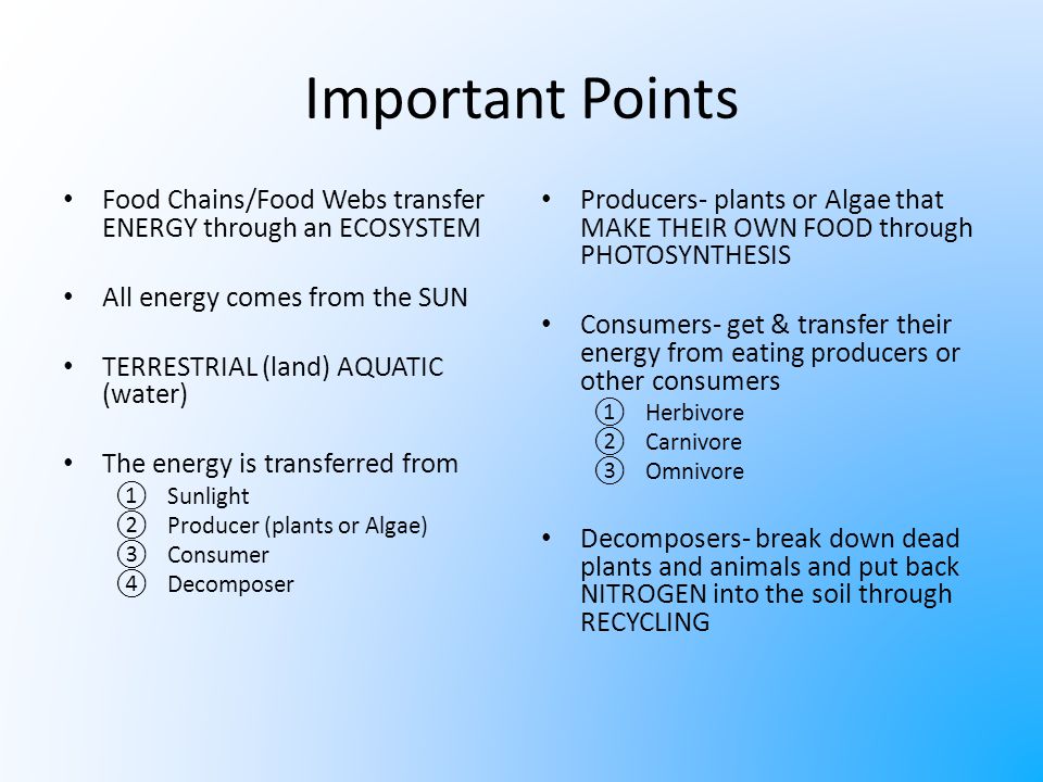 Flow Of Energy Through Food Chains Ppt Download