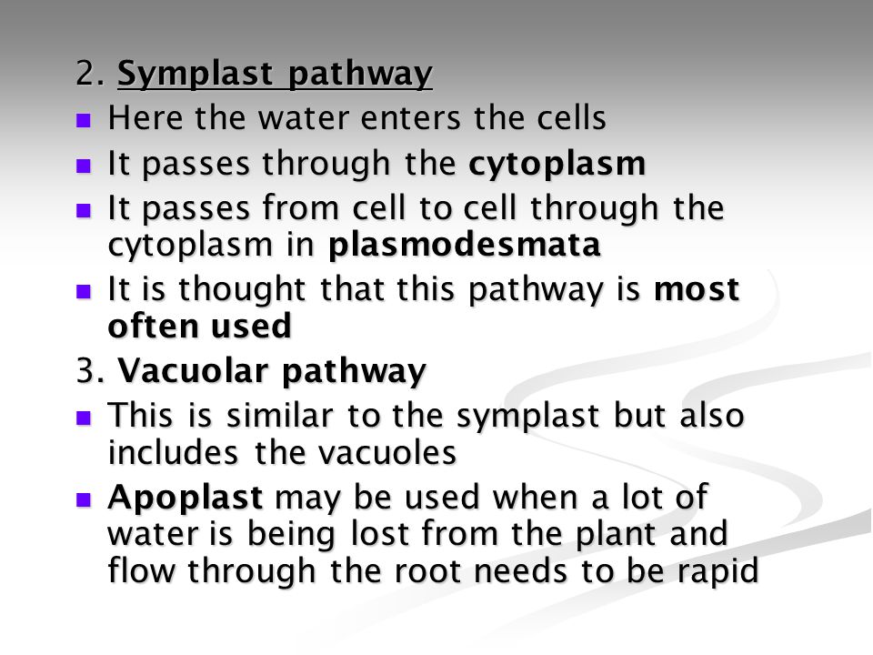 2. Symplast pathway Here the water enters the cells. It passes through the cytoplasm.