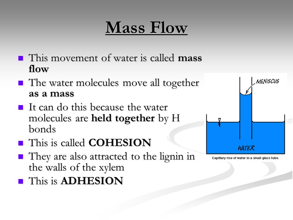 Mass Flow This movement of water is called mass flow