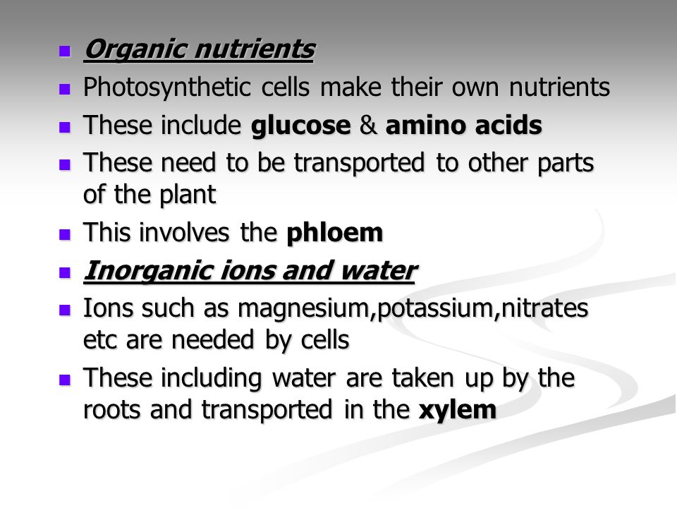 Organic nutrients Photosynthetic cells make their own nutrients. These include glucose & amino acids.