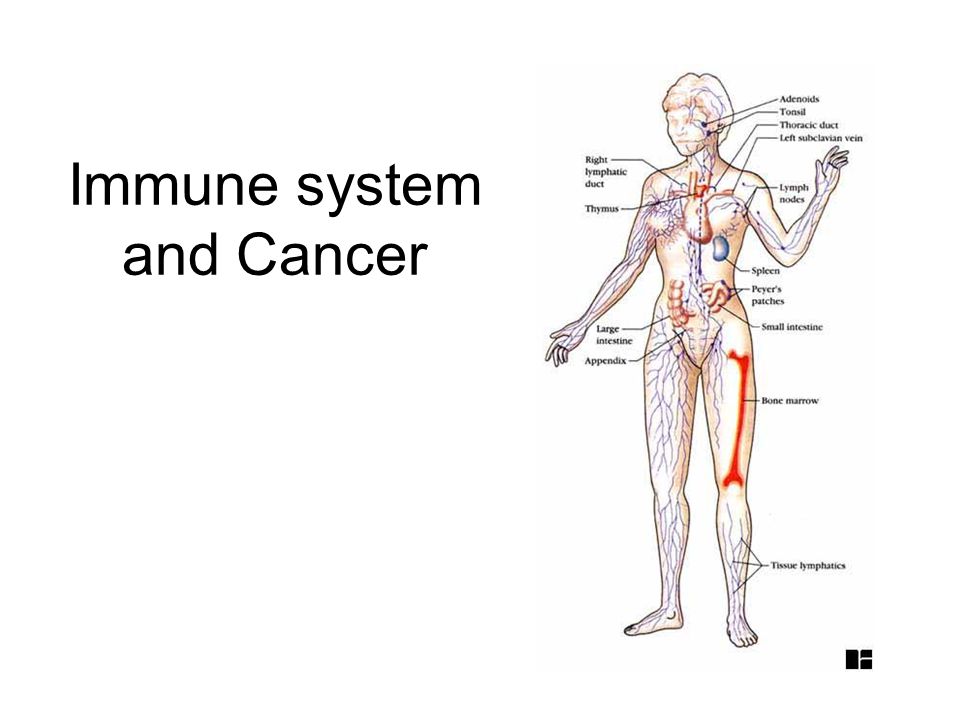 Immune system and Cancer
