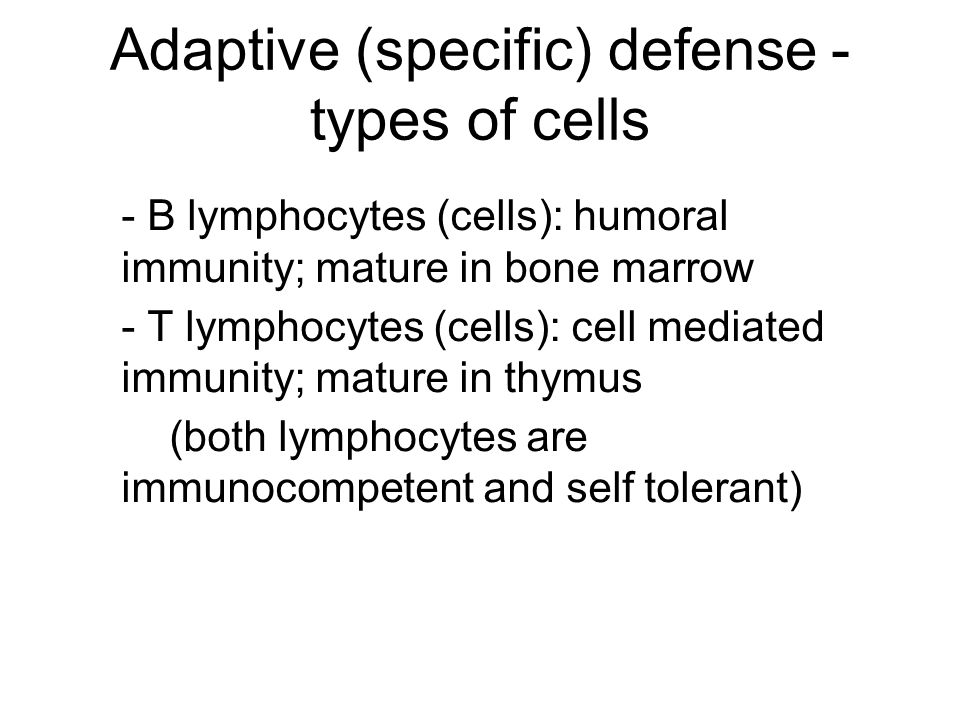 Adaptive (specific) defense - types of cells