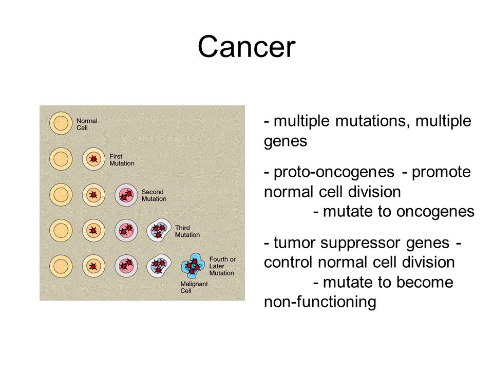 Cancer - multiple mutations, multiple genes