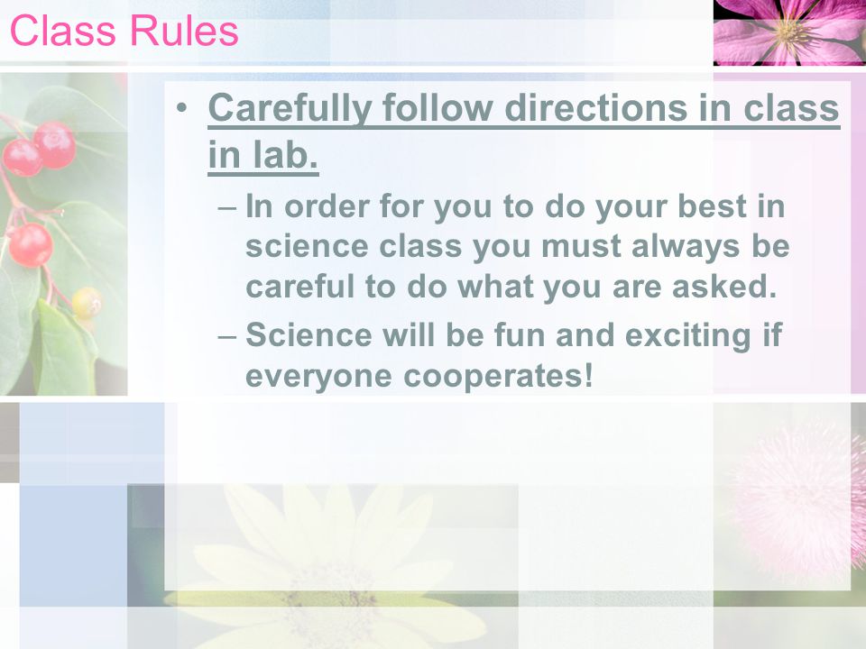 Class Rules Carefully follow directions in class in lab.