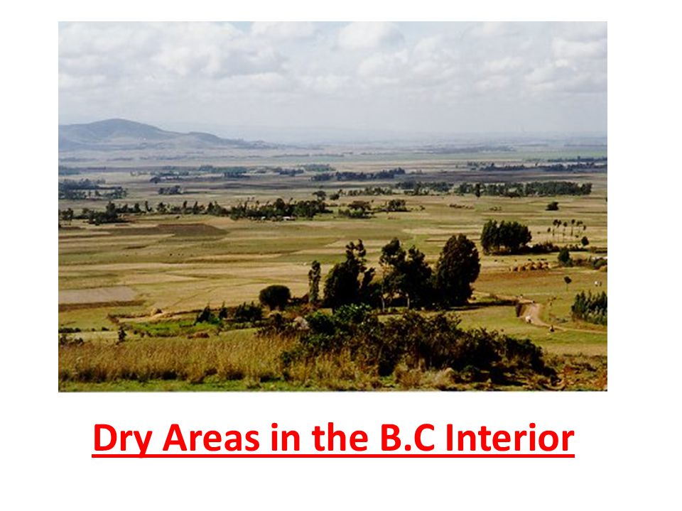 Dry Areas in the B.C Interior