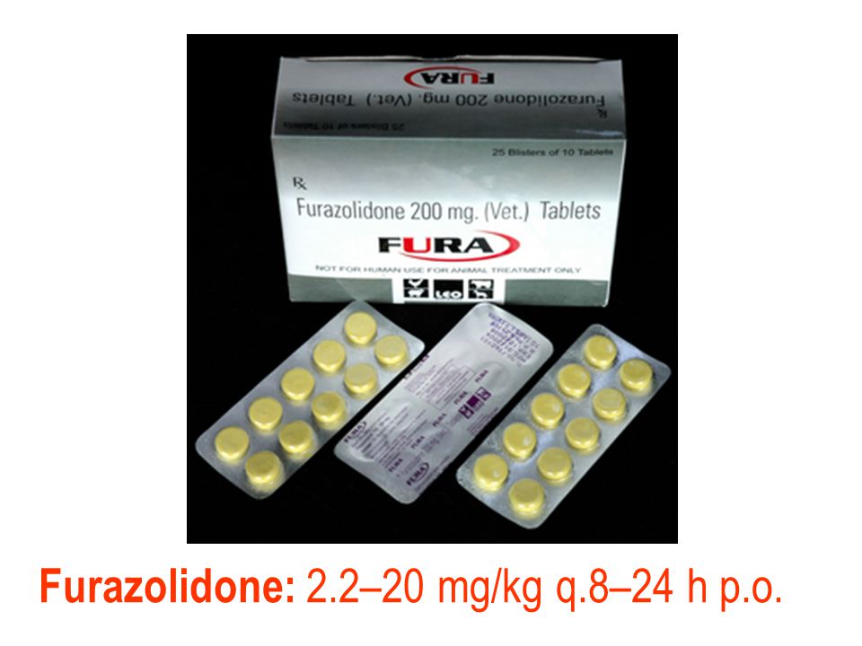 Furazolidone: 2.2–20 mg/kg q.8–24 h p.o.