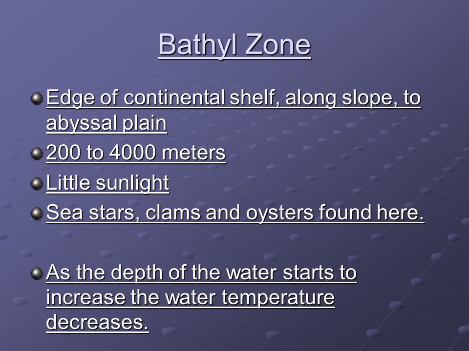 Bathyl Zone Edge of continental shelf, along slope, to abyssal plain