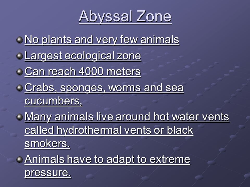 Abyssal Zone No plants and very few animals Largest ecological zone