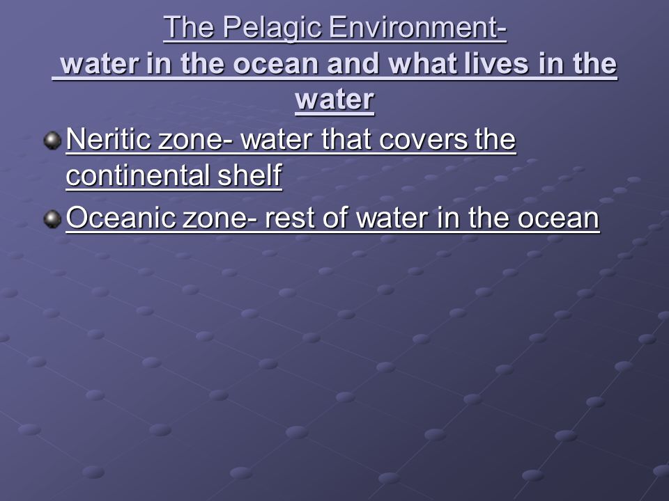 The Pelagic Environment- water in the ocean and what lives in the water