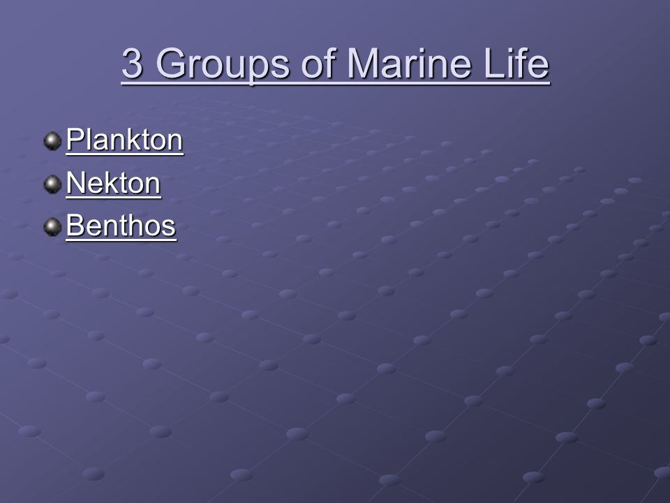 3 Groups of Marine Life Plankton Nekton Benthos