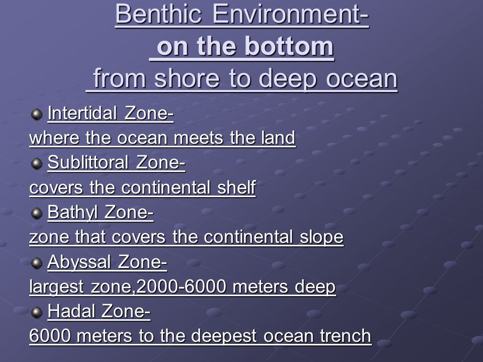 Benthic Environment- on the bottom from shore to deep ocean