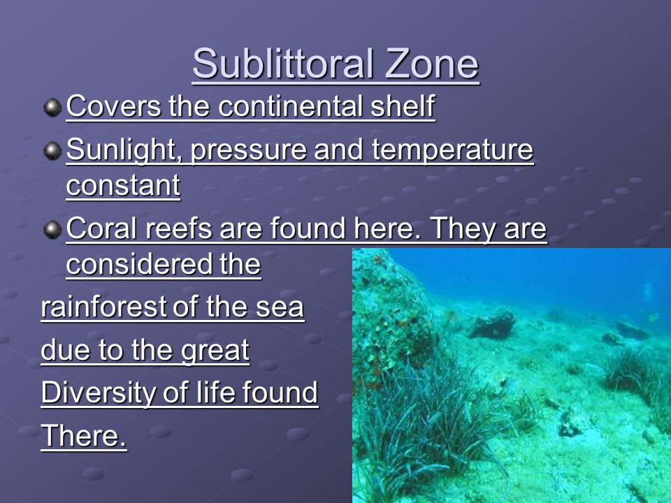 Sublittoral Zone Covers the continental shelf