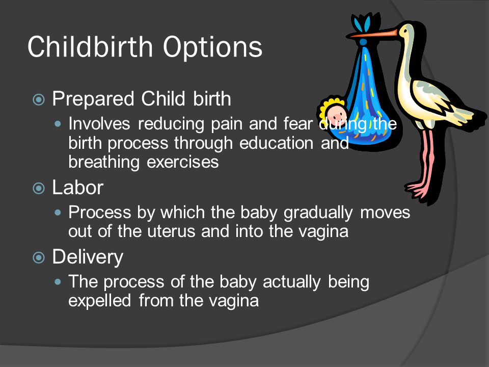 Childbirth Options Prepared Child birth Labor Delivery