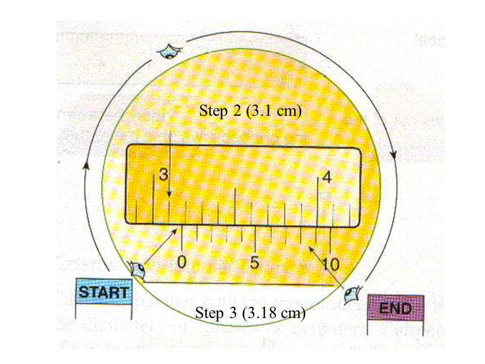 Step 2 (3.1 cm) Step 3 (3.18 cm)